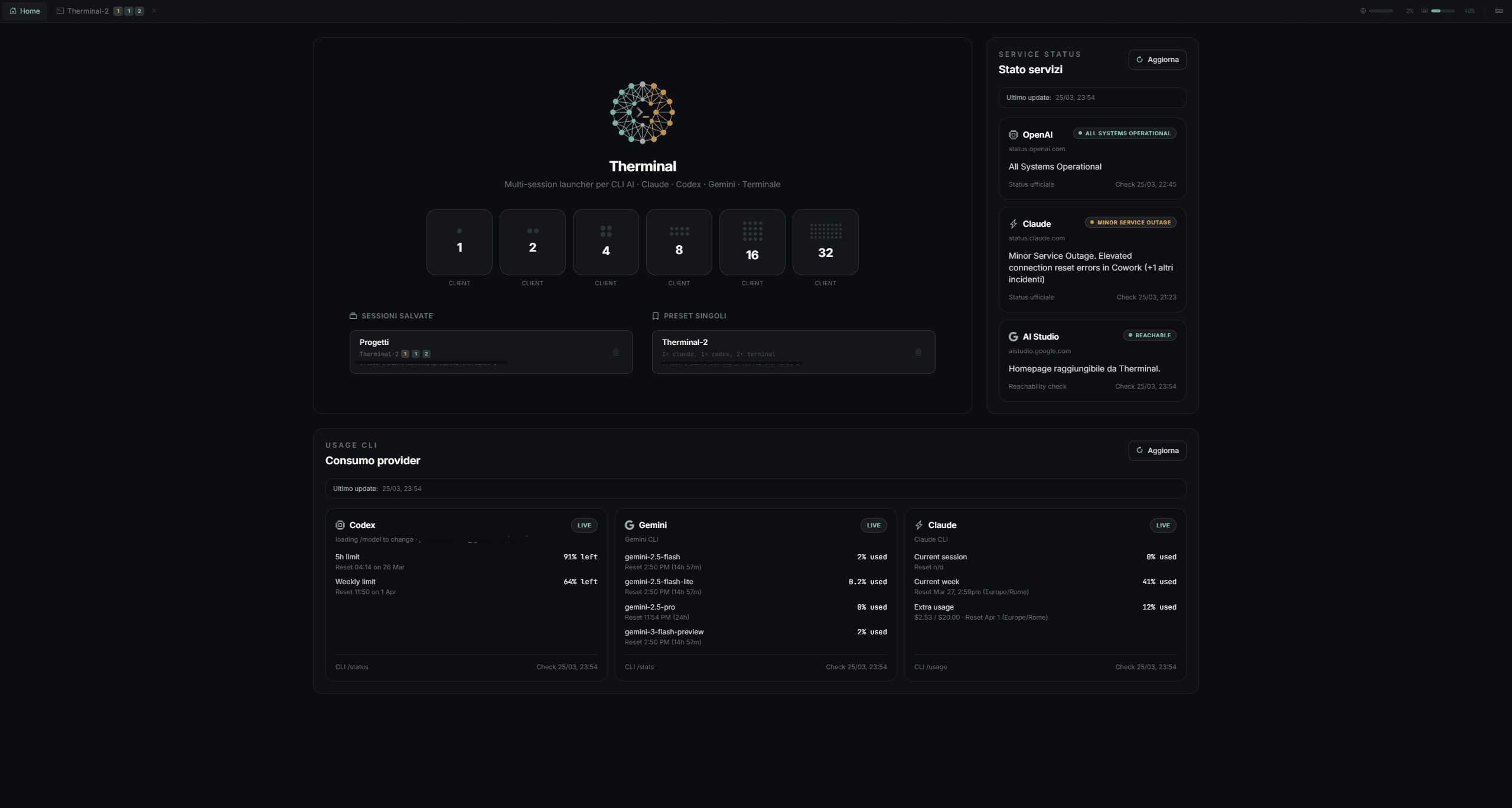 Home di Therminal con stato servizi, sessioni salvate e consumo provider